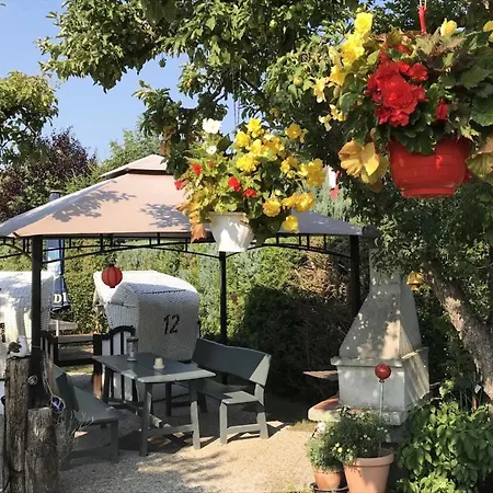 32 - Halbinsel Darss - Ostsee *