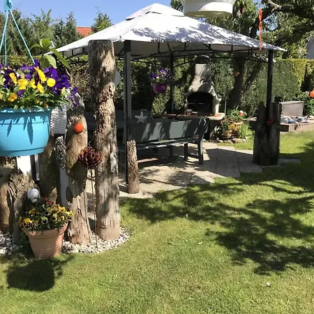 32 - Halbinsel Darss - Ostsee * וויק