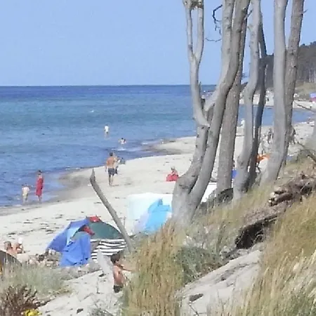 32 - Halbinsel Darss - Ostsee דירה וויק