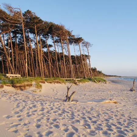 32 - Halbinsel Darss - Ostsee דירה *