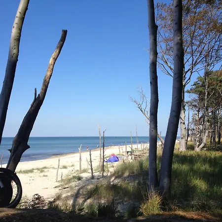 32 - Halbinsel Darss - Ostsee