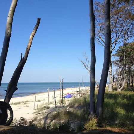 32 - Halbinsel Darss - Ostsee * ويك