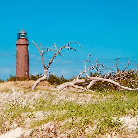 32 - Halbinsel Darss - Ostsee ويك