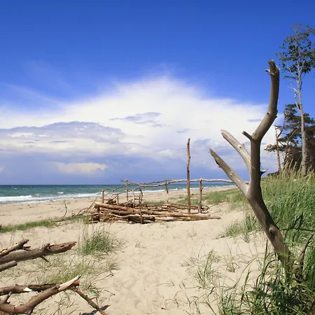 شقة 32 - Halbinsel Darss - Ostsee ويك